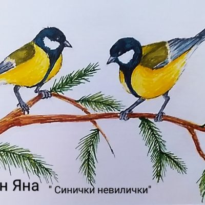 Яна Дон, "Синички невилички"