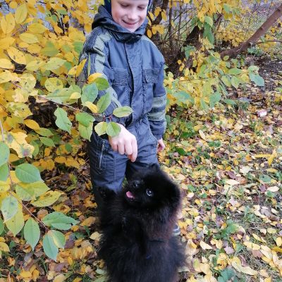 Филипский Даниэль, "Мой дружок"