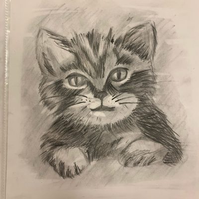 Ванда Миронова, "Мой пушистый друг!"