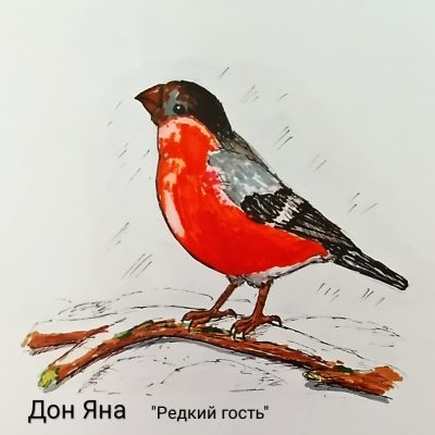 Яна Дон, "Редкий гость"
