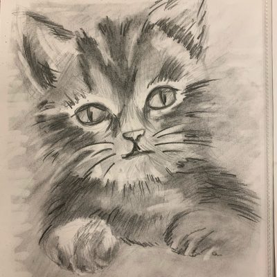 Ксюша Бездетная, "Моя мечта - иметь такого котенка"