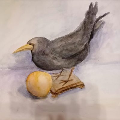 Полина Алёна, «Мудрый грач»