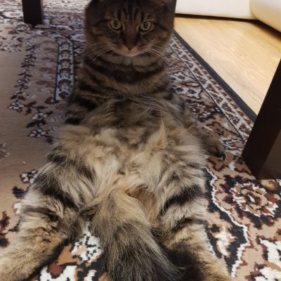 Малахова Валерия, «Ну ты, это... Заходи, если что...»