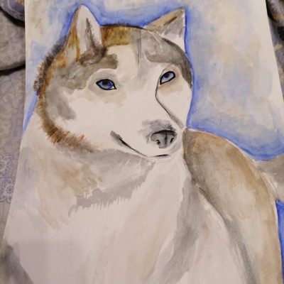 Полина Алёна, «Хитрый пёсик»