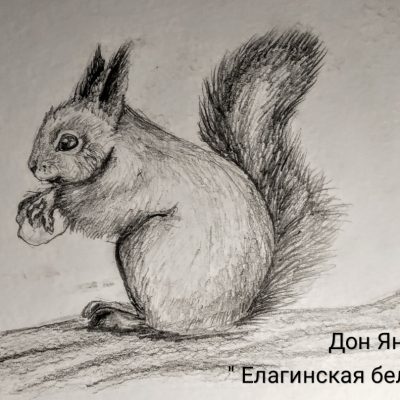 Яна Дон, "Елагинская белочка"