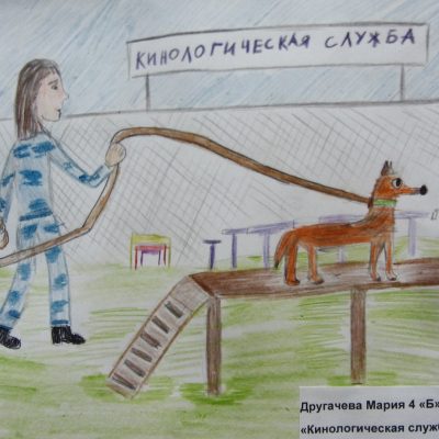 Другачева Маша "Кинологическая служба"